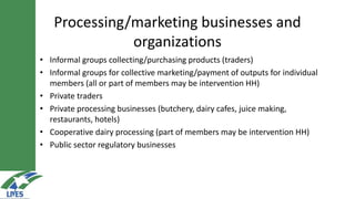 LIVES approach–Planning, implementation, documentation