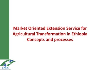 Market-oriented Extension Service for
Agricultural Transformation in Ethiopia
Concepts and processes
 