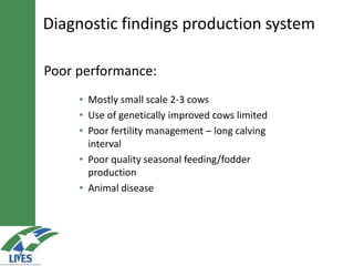 Poor performance:
• Mostly small scale 2-3 cows
• Use of genetically improved cows limited
• Poor fertility management – long calving
interval
• Poor quality seasonal feeding/fodder
production
• Animal disease
Diagnostic findings production system
 