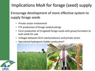 Market-oriented extension service for agricultural transformation in Ethiopia