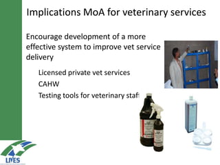 Market-oriented extension service for agricultural transformation in Ethiopia