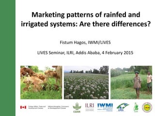 Marketing patterns of rainfed and
irrigated systems: Are there differences?
Fistum Hagos, IWMI/LIVES
LIVES Seminar, ILRI, Addis Ababa, 4 February 2015
 