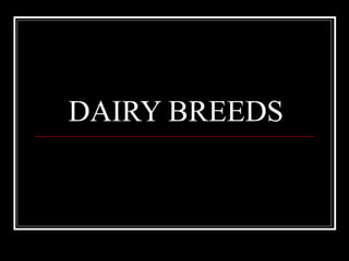 DAIRY BREEDS 