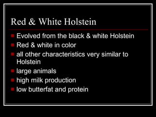 Red & White Holstein Evolved from the black & white Holstein Red & white in color all other characteristics very similar to Holstein large animals high milk production  low butterfat and protein 