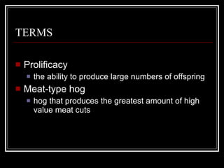 TERMS Prolificacy the ability to produce large numbers of offspring Meat-type hog hog that produces the greatest amount of high value meat cuts 