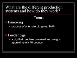 What are the different production systems and how do they work? Terms Farrowing process of a female pig giving birth Feeder pigs a pig that has been weaned and weighs approximately 40 pounds 