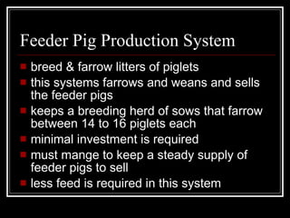 Feeder Pig Production System breed & farrow litters of piglets this systems farrows and weans and sells the feeder pigs keeps a breeding herd of sows that farrow between 14 to 16 piglets each minimal investment is required must mange to keep a steady supply of feeder pigs to sell less feed is required in this system 