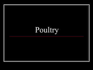 Poultry 