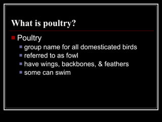 What is poultry? Poultry group name for all domesticated birds referred to as fowl have wings, backbones, & feathers some can swim 
