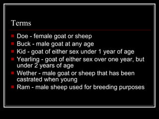 Terms Doe - female goat or sheep Buck - male goat at any age Kid - goat of either sex under 1 year of age Yearling - goat of either sex over one year, but under 2 years of age Wether - male goat or sheep that has been castrated when young Ram - male sheep used for breeding purposes 
