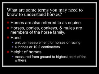 What are some terms you may need to know to understand horses? Horses are also referred to as equine. Horses, ponies, donkeys, & mules are members of the horse family. Hand unique measurement for horses or racing 4 inches or 10.2 centimeters Height of horses measured from ground to highest point of the withers 