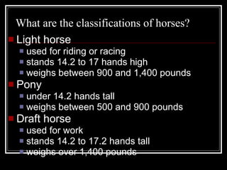What are the classifications of horses? Light horse used for riding or racing stands 14.2 to 17 hands high weighs between 900 and 1,400 pounds Pony under 14.2 hands tall weighs between 500 and 900 pounds Draft horse used for work stands 14.2 to 17.2 hands tall weighs over 1,400 pounds 
