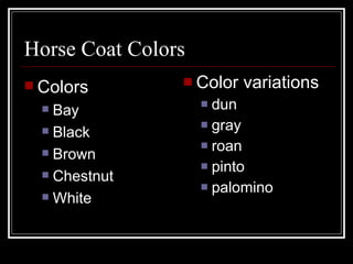 Horse Coat Colors Color variations dun gray roan pinto palomino Colors Bay Black Brown Chestnut White 