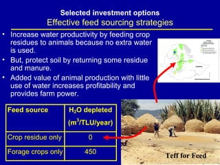 Investment options for integrating water-livestock-crop production in sub-Saharan Africa