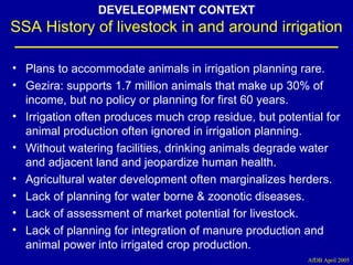 Investment options for integrating water-livestock-crop production in sub-Saharan Africa