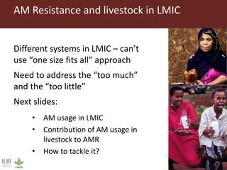 Livestock and antimicrobial resistance in low- and middle-income countries