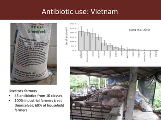 Livestock and antimicrobial resistance in low- and middle-income countries