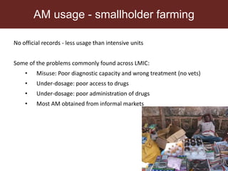 Livestock and antimicrobial resistance in low- and middle-income countries