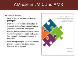 Livestock and antimicrobial resistance in low- and middle-income countries