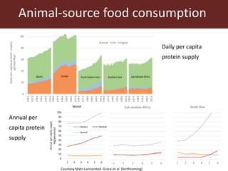 Livestock and antimicrobial resistance in low- and middle-income countries