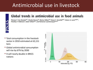 Livestock and antimicrobial resistance in low- and middle-income countries