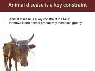 Livestock and antimicrobial resistance in low- and middle-income countries