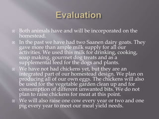  Both animals have and will be incorporated on the
homestead.
 In the past we have had two Saanen dairy goats. They
gave more than ample milk supply for all our
activities. We used this milk for drinking, cooking,
soap making, gourmet dog treats and as a
supplemental feed for the dogs and plants.
 We have not had chickens yet, but they are an
integrated part of our homestead design. We plan on
producing all of our own eggs. The chickens will also
be used for the vegetable garden clean up and for
consumption of different unwanted bits. We do not
plan to raise chickens for meat at this point.
 We will also raise one cow every year or two and one
pig every year to meet our meat yield needs.
 