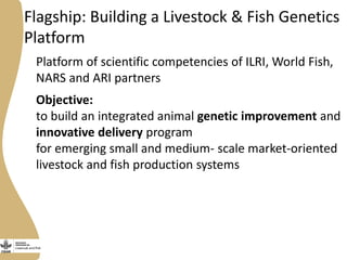 Livestock and Fish - Presentation for Discussion with Donors and Partners - June 2013