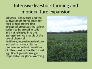 Livestock Land And Land Grabbing