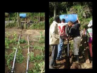 Livestock and mobile technology