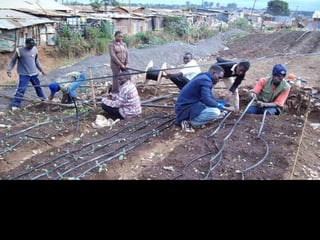 Livestock and mobile technology