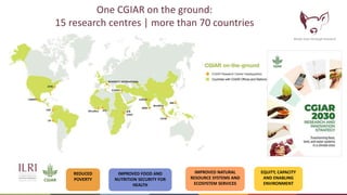 Livestock in ASEAN countries: Animal and human health and value chains