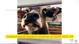 Livestock, climate change and health: International research, interventions and implications for Vietnam