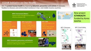 Livestock, climate change and health: International research, interventions and implications for Vietnam