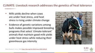 Livestock, climate change and health: International research, interventions and implications for Vietnam