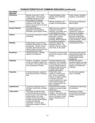 Livestock visual data 4