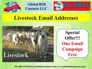 Global B2B
Contacts LLC
816-286-4114|info@globalb2bcontacts.com| www.globalb2bcontacts.com
Livestock Email Addresses
Special
Offer!!!
One Email
Campaign
Free
 