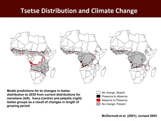 Informing targeted adaptation and mitigation investments for long term livestock sector development in Africa