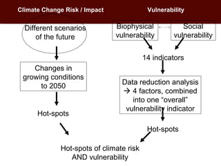 Informing targeted adaptation and mitigation investments for long term livestock sector development in Africa