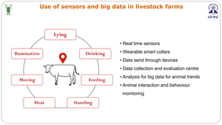 Use of sensors and big data in livestock farms
Lying
Rumination Drinking
Moving Feeding
Heat Standing
• Real time sensors
• Wearable smart collars
• Data send through devices
• Data collection and evaluation centre
• Analysis for big data for animal trends
• Animal interaction and behaviour
monitoring
 