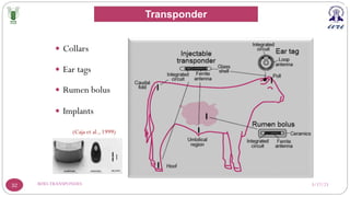 3/17/23
RFID-TRANSPONDES
32
(Caja et al., 1999)
— Collars
— Ear tags
— Rumen bolus
— Implants
Transponder
 