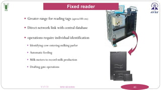 3/17/23 RFID-READERS 40
— Greater range for reading tags (aprox100 cm)
— Direct network link with central database
— operations require individual identification
— Identifying cow entering milking parlor
— Automatic feeding
— Milk meters to record milk production
— Drafting gate operations
Fixed reader
 