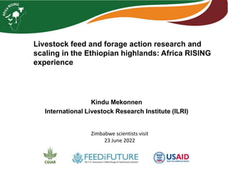 Livestock feed and forage action research and
scaling in the Ethiopian highlands: Africa RISING
experience
Kindu Mekonnen
International Livestock Research Institute (ILRI)
Zimbabwe scientists visit
23 June 2022
 