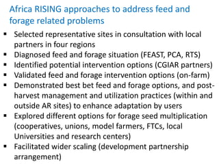Africa RISING approaches to address feed and
forage related problems
 Selected representative sites in consultation with local
partners in four regions
 Diagnosed feed and forage situation (FEAST, PCA, RTS)
 Identified potential intervention options (CGIAR partners)
 Validated feed and forage intervention options (on-farm)
 Demonstrated best bet feed and forage options, and post-
harvest management and utilization practices (within and
outside AR sites) to enhance adaptation by users
 Explored different options for forage seed multiplication
(cooperatives, unions, model farmers, FTCs, local
Universities and research centers)
 Facilitated wider scaling (development partnership
arrangement)
 