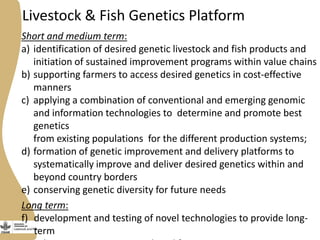CGIAR Research Program on Livestock and Fish: Phase II ideas