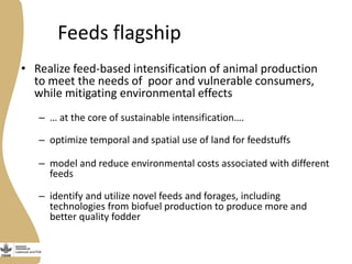 CGIAR Research Program on Livestock and Fish: Phase II ideas