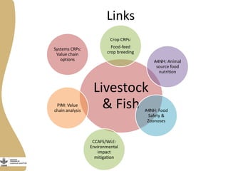CGIAR Research Program on Livestock and Fish: Phase II ideas
