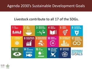 Agenda 2030’s Sustainable Development Goals
Livestock contribute to all 17 of the SDGs.
 