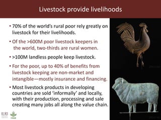 Livestock livelihoods
• 70% of the world’s rural poor rely greatly on
livestock for their livelihoods.
• Of the >600M poor livestock keepers in
the world, two-thirds are rural women.
• >100M landless people keep livestock.
• For the poor, up to 40% of benefits from
livestock keeping are non-market and
intangible—mostly insurance and financing.
• Most livestock products in developing
countries are sold ‘informally’ and locally,
with their production, processing and sale
creating many jobs all along the value chain.
Livestock provide livelihoods
 