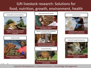 ILRI livestock research: Solutions for
food, nutrition, growth, environment, health
Mitigating climate change, enhancing
resilience and increasing livestock
productivity
Sustainable Livestock Systems
Taking livestock solutions to scale for
inclusive development
Impact at Scale
Delivering solutions for livestock, zoonotic
and foodborne diseases
Animal and Human Health
Efficient livestock production driving
inclusive growth and employment
Policies, Institutions & Livelihoods
(including gender)
Improving genetics for better productivity
and profitability
Livestock Genetics
Accelerating Africa’s agricultural
development through biosciences
BecA-ILRI hub
Better nutrition for improved animal
productivity
Feed and Forage Development
Capacity Development | Communications | Knowledge Management
 